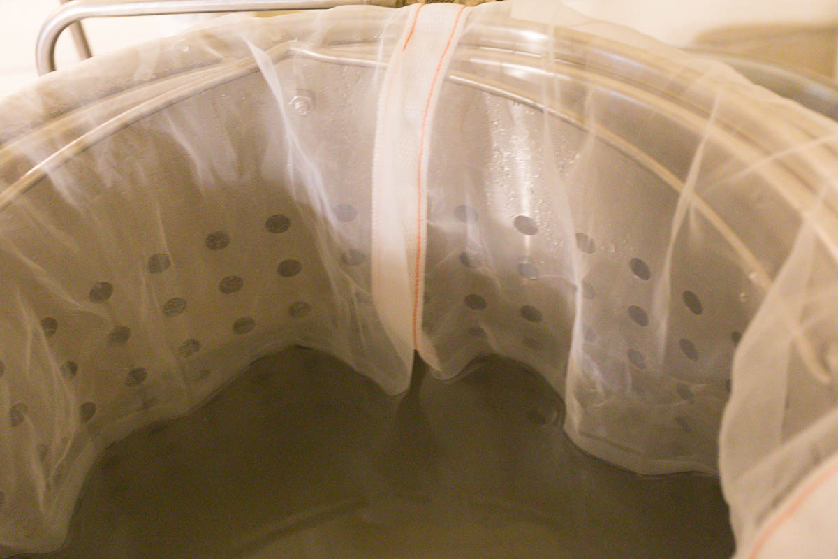 Brewing With a Master - Ricardo Fritzsche