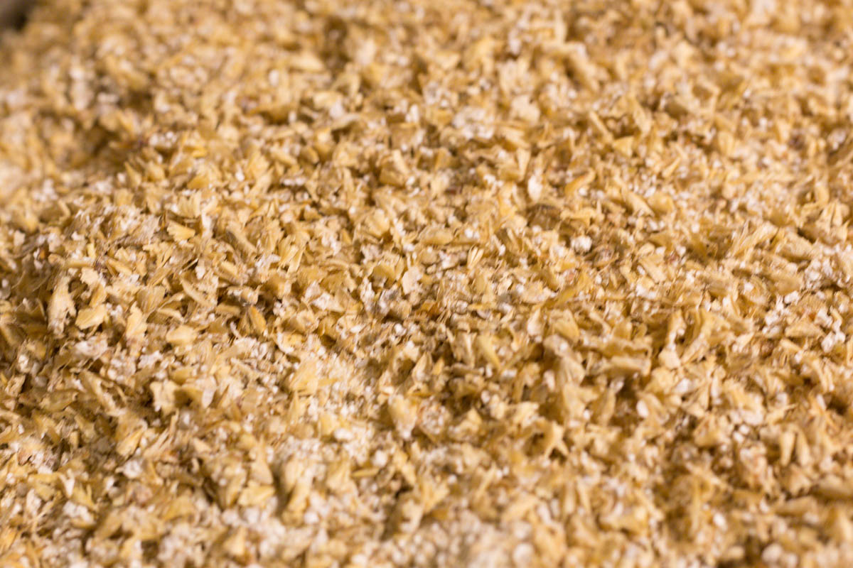 Brewing With a Master - Ricardo Fritzsche