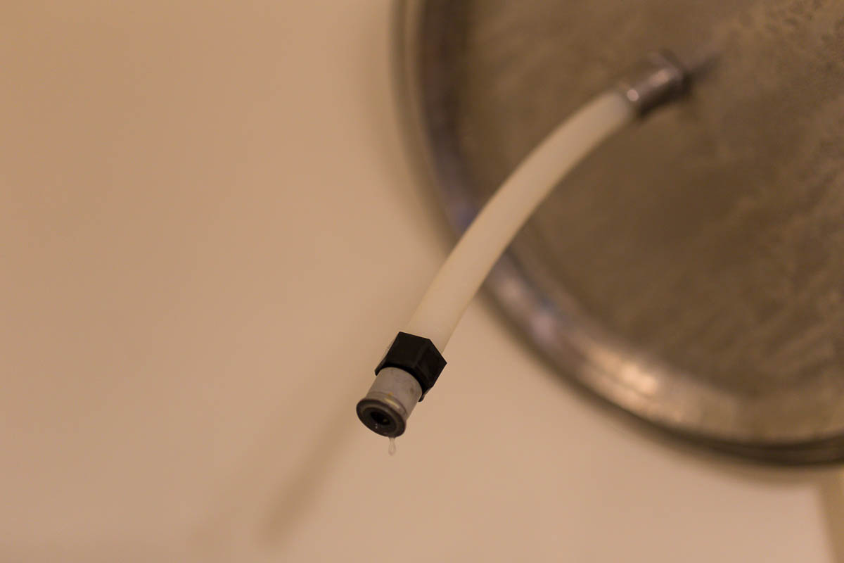 Brewing With a Master - Ricardo Fritzsche