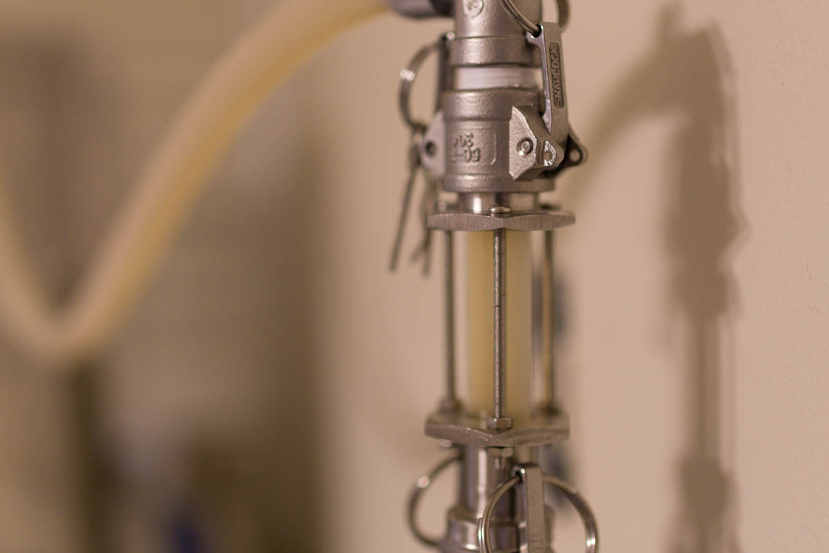 Brewing With a Master - Ricardo Fritzsche