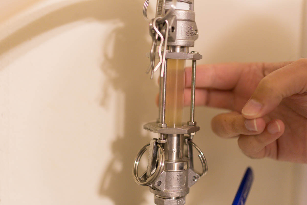 Brewing With a Master - Ricardo Fritzsche