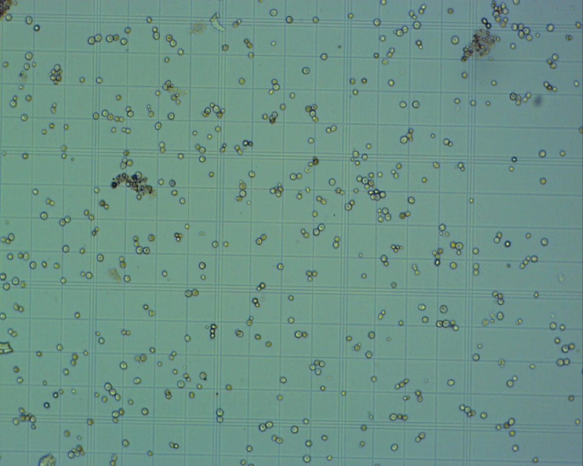 Lab setup - test pictures