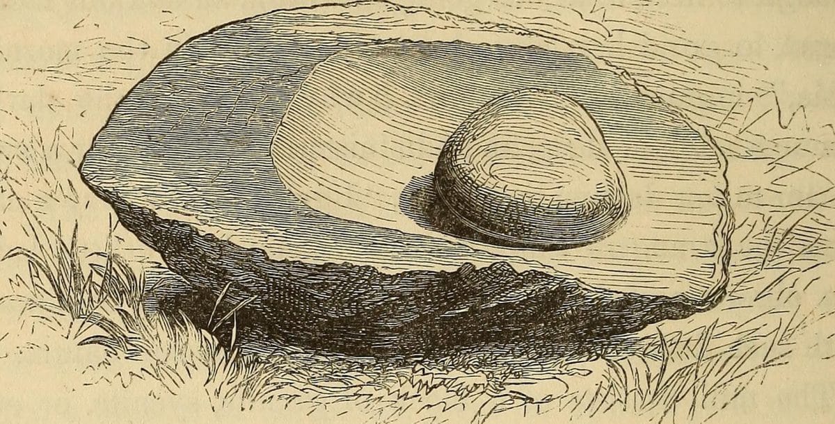 Improving Your Recipes