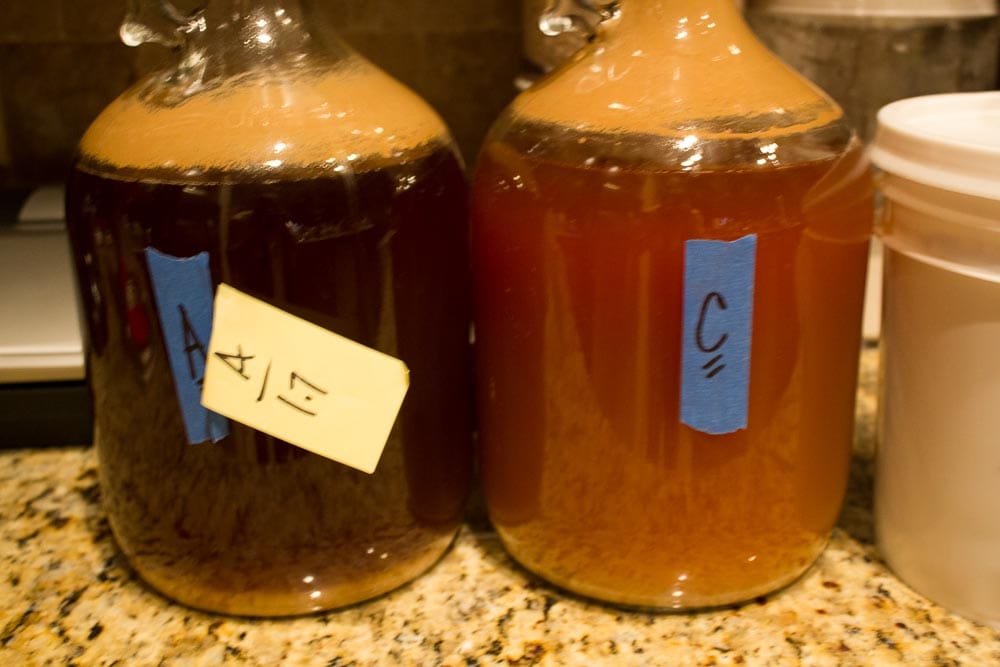 Yeast Pitching Experiment Update 1.1