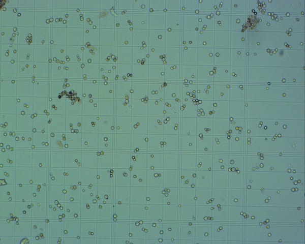 Lab setup - test pictures